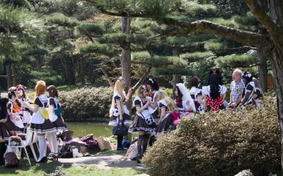 Japan-Tag 2026 in Düsseldorf: Feuerwerk, Sushi und Cosplay am Rhein